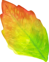 leaves autumn season png