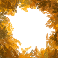 afbeelding kader herfst png