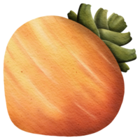 This picture is drawn and painted to look like carrot. png