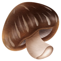 cette image est tiré et peint à Regardez comme champignon. png