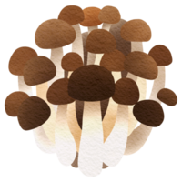 This picture is drawn and painted to look like mushroom. png
