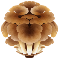 diese Bild ist gezeichnet und gemalt zu aussehen mögen Pilz. png