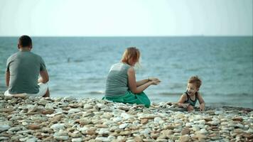 jong ouders en weinig zoon Aan kiezelsteen strand video