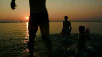 Familie Baden im das Meer beim Sonnenuntergang video