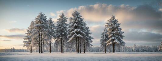 Pine trees covered with snow on frosty evening. Beautiful winter panorama. AI generated photo