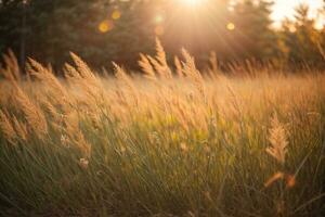 Wild grass in the forest at sunset. Macro image, shallow depth of field. Abstract summer nature background. Vintage filter. AI generated photo