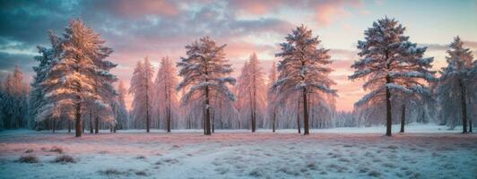 Pine trees covered with snow on frosty evening. Beautiful winter panorama. AI generated photo