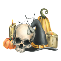 Human skull with black witch hat, orange pumpkins, cobwebs, candles. Hand drawn watercolor illustration for Halloween. Isolated composition png