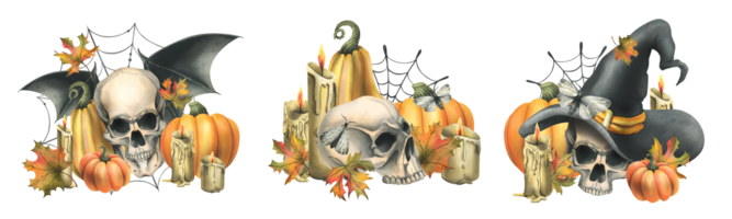 Human skulls with witch hat, bat wings, pumpkins, autumn leaves and candles. Hand drawn watercolor illustration for Halloween. Set of different compositions png