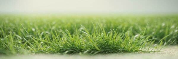 fresh spring green grass. AI generated photo