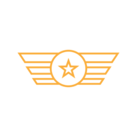 Militär- Star Abzeichen Symbol png