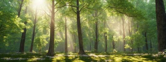 Beautiful forest in spring with bright sun shining through the trees. AI generated photo