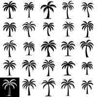 Tropical Palm Tree Icon Set for Various Applications vector