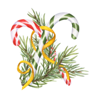 Red, green candy canes and spruce branch with gold ribbon. Christmas stick, caramel cane with striped ornate, Xmas sugar lollipop. Evergreen plant. Watercolor illustration for winter decoration png