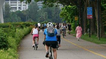 Jogging in the park in singapore , video