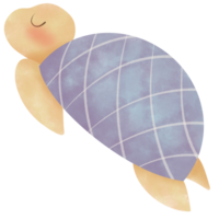 cute cartoon purple turtle, no background png