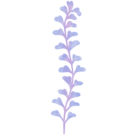 blue-purple water plant in the sea and ocean, no background png