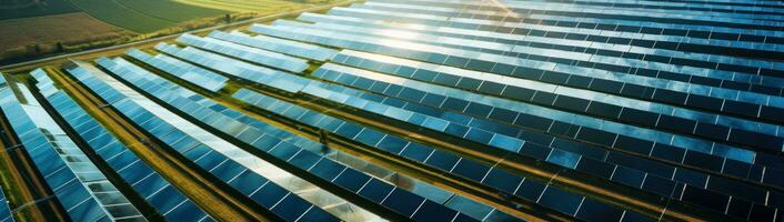 Sun panels in the field photo