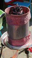 el proceso de haciendo hecho en casa uva vino. un enólogo cargas aplastada uvas dentro un hidráulico prensa. video