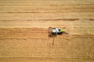 Aerial view of working harvesting combine in wheat field, Harvest season photo