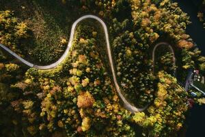 Aerial top view of curvy road through autumn forest in mountains photo