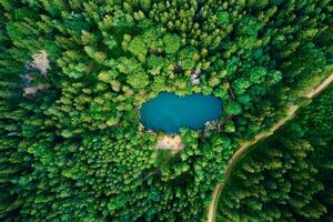 Aerial view of blue colored forest lake in Poland photo