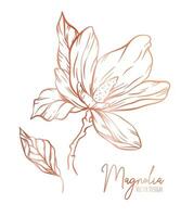 magnolia flor línea ilustración colocar. mano dibujado Rosa oro contorno Boda hierba, elegante hojas para invitación salvar el fecha tarjeta. botánico de moda verdor vector colección para web, imprimir, carteles