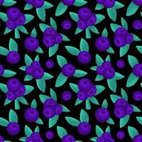 seamless pattern with blueberries vector