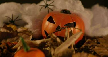 Halloween Dekoration beim Zuhause video