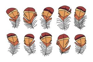 Cute collection of brown bird feathers in cartoon style. Same look, different shapes. Vector illustration