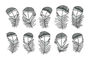 Cute collection of bird feathers in cartoon style. Same look, different shapes. Monochrome vector illustration