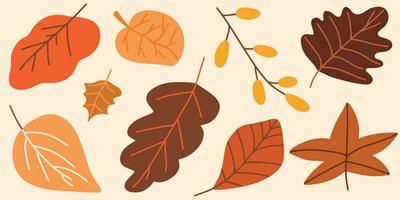 Autumn leaf collection, fall set isolated on white background vector