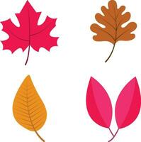 Autumn Leaves Illustration. Colorful Design. Vector Illustration