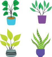 Potted Plant Illustration with Simple Design. Isolated Vector Set.