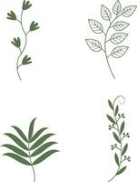 Leaf Branch Icon Set. Isolated on White Background. Vector Illustration