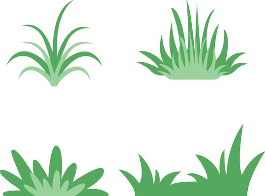 Bush Element for Background. Vector Illustration