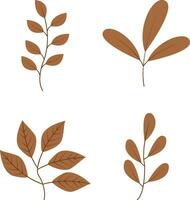 Organic Autumn Leaf Icon. Vector Illustration