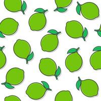 Lime Fruit Seamless Pattern On A White Background. Fresh Lime Icon Vector Illustration