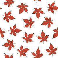 Autumn Leaf Seamless Pattern On A White Background. Autumn Leaves Or Fall Foliage Icon Vector Illustration