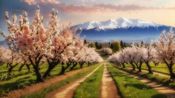 A Breathtaking Panorama Immortalizing the Timeless Elegance and Vibrant Splendor of a Cherry Orchard in Full Blossom. AI Generated photo