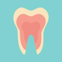 Inflamed tooth, inflamed pulp vector