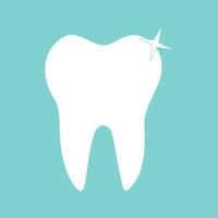 white healthy tooth vector