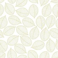 pattern seamless colorful design background texture textile vector