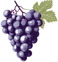 grape illustration ai generative png