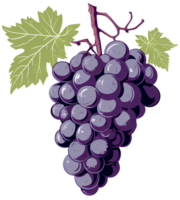 grape illustration ai generative png