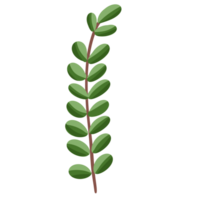 uppsättning av blad illustration gren av växt. png