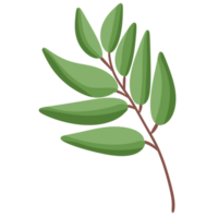 conjunto de hoja ilustración rama de planta. png