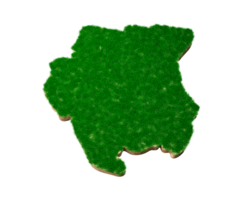 suriname kaart bodem land geologie dwarsdoorsnede met groen gras en rotsgrond textuur 3d illustratie png