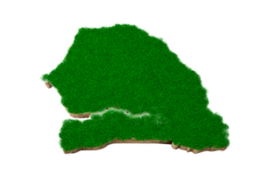 carte du sénégal coupe transversale de la géologie des sols avec de l'herbe verte et de la texture du sol rocheux illustration 3d png