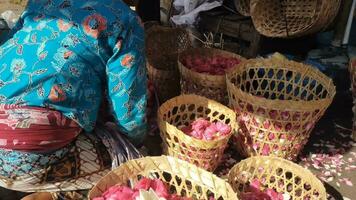 semear vendedor de flores está embalando na cesta. video